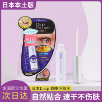Japan local version of DUP false eyelash glue 552 Quick-drying transparent hypoallergenic strong styling long-lasting Cosme Award