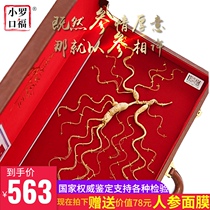 Gift Changbai Mountain ginseng with certificate 35 years Northeast specialty wild forest ginseng gift box mountain ginseng SF