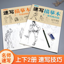 Aesthetics master sketch book upper and lower 2 volumes of basic training articles strengthen the improvement of advanced sketch character painting copy introductory zero basic book textbook super line shallow printing joint examination storm