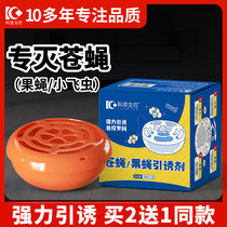 Small flying insect killing artifact fly poison fruit fly bug killer trap and kill fruit fly trap insecticide