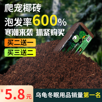 Climbing coconut soil turtle hibernation supplies Brazilian tortoise mat reptile coconut brick breeding box winter sand warm Moss