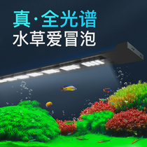 Fish tank lamp full spectrum aquatic straw lamp led lighting waterproof WRGB bracket lamp submersible grass cylinder professional algae explosion lamp holder