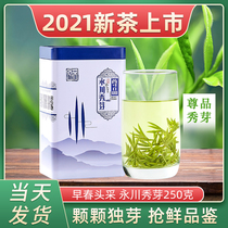 Green Tea 2021 New Tea Zun Grade 250g Chongqing Yongchuan Xiu Bud Tea Green Tea Early Spring Bud Tea