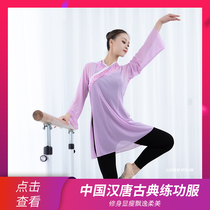 Han and Tang classical dance practice suit gauze adult female Chinese style body rhyme performance suit gradient color mesh self-cultivation