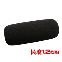 Suitable for Sony 2500C Z5C NX100 198P EX280 Camera microphone windshield microphone cover Sponge cover