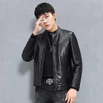 New sheep leather jacket mens short collar slim and handsome trend Haining locomotive leather thin coat