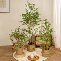 Simulation green plant high-end light luxury bamboo potted indoor living room new Chinese Zen landscape fake bamboo decoration