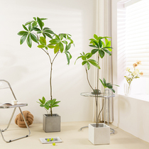 Fake green plant simulation fortune tree bonsai interior decoration bionic plant bonsai planting living room large floor-to-ceiling ornaments