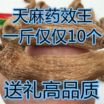 (10 a catty) wild Tianma Yunnan Zhaotong Xiaocaaba Gastrodia 500 grams can be ground grinding ultra-fine powder