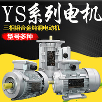 YS motor 2800 to 380v vertical B5 B14 horizontal 34 aluminum shell 180 250 370 550 750w