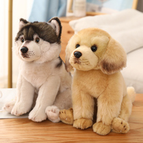 Cute simulation dog doll wolf dog Tibetan mastiff puppy ragdoll plush toy ragdoll pillow birthday gift girl