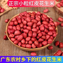 Guangdong red skin peanut farm small fresh four red red clothes peanuts bulk peanut Rensheng new goods