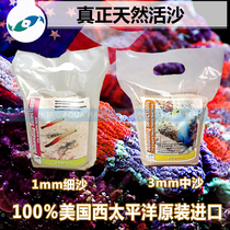 The United States imports two small fish aquarium fish tank sea sand landscaping decoration sea tank live sand from the west coast of the United States