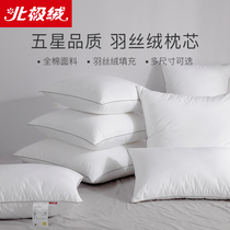 Cotton feather velvet pillow pillow core 45 50 55 60 custom Pillow sofa cushion inner square backrest