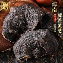  Pure wild large thin cover ganoderma lucidum thin tree zhi pruning dry goods 500g per kilogram can be sliced can be soaked in water and wine