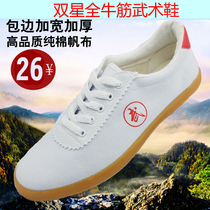 Qingdao Double Star wu shu xie lian gong xie men tai ji xie chen lian xie kung fu training shoes canvas shoes spring and summer