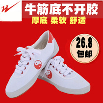 Binary tai ji xie tpr practice shoes Taijiquan wu shu xie chen lian xie shoes for men and women