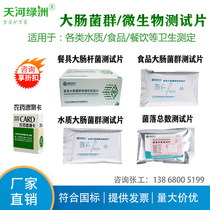 Food tableware E. Coli group test paper water quality fecal colony count bacteria test piece pesticide quick test card