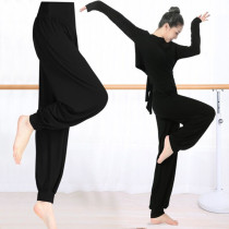 Dance pants Practice clothing Womens suit Latin dance Chinese style modern dance body suit top Radish bloomers summer