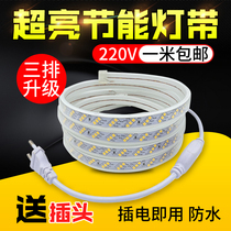 220Vled light with household outdoor engineering waterproof super bright white light three rows 2835 decorative strip light belt self-adhesive
