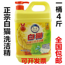 White cat lemon Black Tea big bottle detergent 4kg family pack not hurt hand easy to pass water efficient oil removal 2kg pack