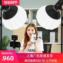 Beiyang led Changliang Photography Light Sun Light 150W200W Food Live Light Light Light Ball Light Live Light Ball Light Live Light Ball Fill Light Anchor Live Room Light Layout Beauty Soft Light