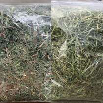 Canada USA Timosy grass crumbled Gatti Snow Tiantian rabbit dragon cat doubled down 500g-5 sacks