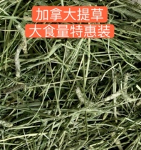 Canada imports the Timothy grass Gatti Snow Rabbit Grass Doubling A-pressure Two-pressure Microscreen Edition Big Eating Mass