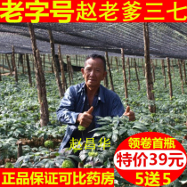 Wen Shan 18 Head 37 Pink Zhao Lao Dad Grinding Powder Spring Wall-broken Ultra-fine Farmhouse Imitation Wild Yunnan Field Seven Powder