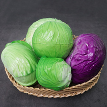 Simulation cabbage model fake cabbage green cabbage celery seaweed props ornaments decoration toys childrens cognitive fruits and vegetables