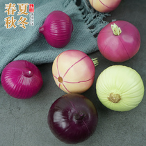 Simulation Onion fake onion plastic purple onion fruit vegetable props model toy kindergarten childrens cognition