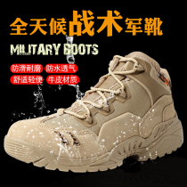 Desert boots men's autumn and winter low boots ultra light wear-resistant combat boots summer outdoor hiking boots desert boots tactical boots