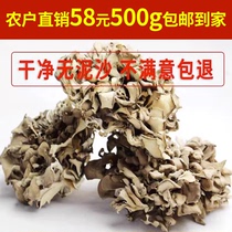 New cargo ash tree flower Qingyuan yellow field grey tree flower to ensure no sediment Dad-shaped farmhouse self-planting 500 gr