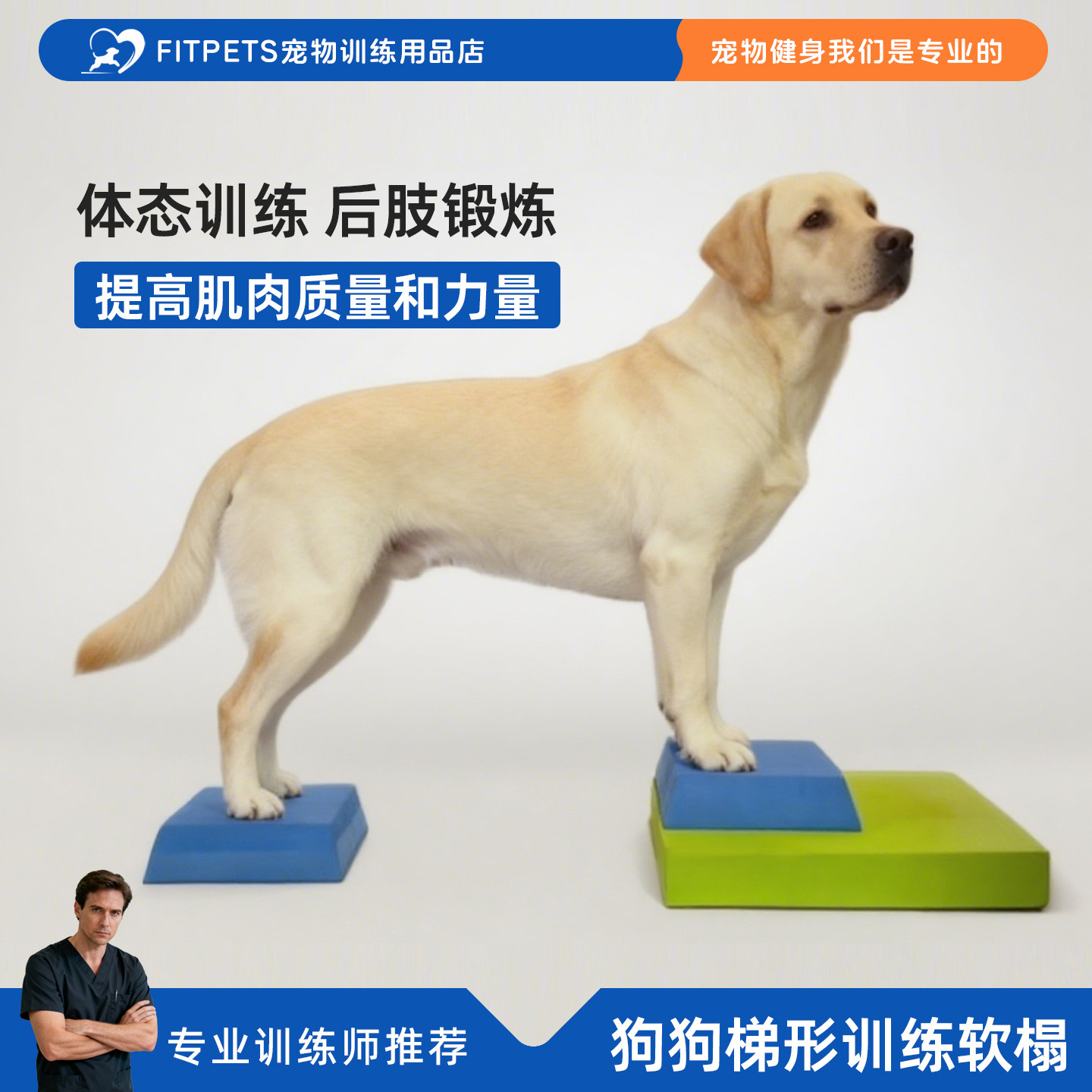 宠物坐姿训练神器！狗狗猫咪平衡阶梯推荐💪🐾-宠物-淘宝好物网