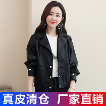 2022 Spring and Autumn new Haining fur coat female short coat Han edition loose locomotive sheep leather jacket tide