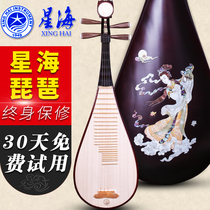 Beijing Xinghai musical instrument 8911-1F hardwood bone flower Pipa national musical instrument playing beginner piano send accessories