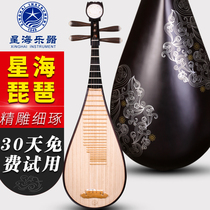 Xinghai 8972XY Pipa musical instrument African rosewood adult pipa Jin Can Xiangyun childrens pipa 897EXY