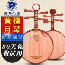 Beijing Xinghai Yueqin national musical instrument 8214-A Austenitic Huangtanyueqin musical instrument Huangtanyueqin send accessories