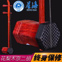 Beijing Xinghai 87022X Rosewood Beijing Erhu Xinghai National Musical instrument learning to play Erhu send accessories