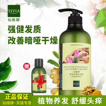 Xianwina soft shavings shampoo old ginger juice ginger root oil control shampoo for men and women hair