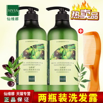2 bottled Xianwina olive dedusting supple shampoo for men and women with anti-itching oil and oil degreasing family pack