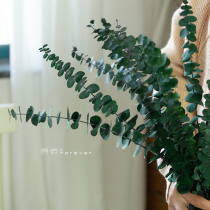 Immortal true flower amine leaf dried flower eucalyptus leaf Nordic luxury home Model Room soft decoration bouquet with flower material