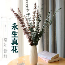 Round eucalyptus dried eucalyptus flower living room decoration modern minimalist Nordic style real flower ornaments
