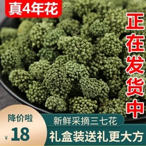 Sanqi Flower Yunnan Wenshan Super Authentic Natural Four-Year New Sanqi Flower Tea 500 Ketian Qihua