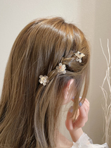 liu hai jia forehead sui fa small gripper female summer Pearl flowers hairclip small clip mini side issuing ding jia
