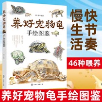 Keep a good pet turtle Hand drawing Turtle feeding method Turtle disease diagnosis and treatment prevention technology Efficient breeding technology book water turtle semi-water turtle tortoise breeding book Pet turtle breeding technology Fast-paced slow life health book