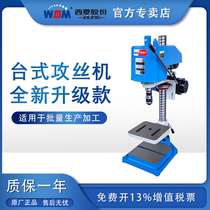 Zhejiang Siiling Tapping Machine Electric Desktop Industrial Grade Small Clutch Tapping Machine swj-12 16G 24D