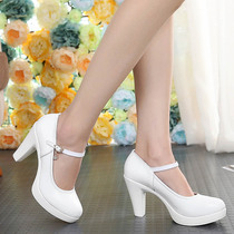Cheongsam T-stage womens shoes spring leather high-heeled single shoes womens thick-heeled round head waterproof platform White comfortable catwalk model shoes