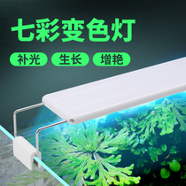 Colorful angelfish special fish tank led lighting tube color-changing waterproof aquatic plant lamp holder small decorative blue and white light
