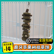 Rabbit molars skewers Chinchilla molars apple branches grass straw brick Chinchilla rabbit guinea pig guinea pig